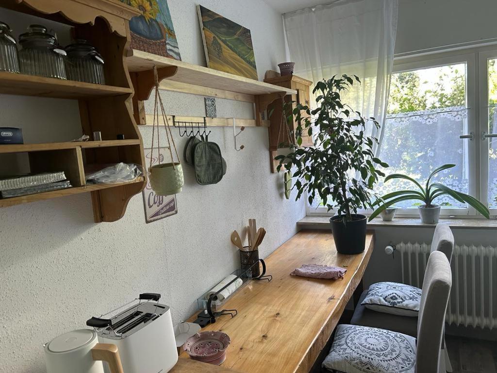 Ferienwohnung An Der Loipe Lichtenstein  Exteriér fotografie