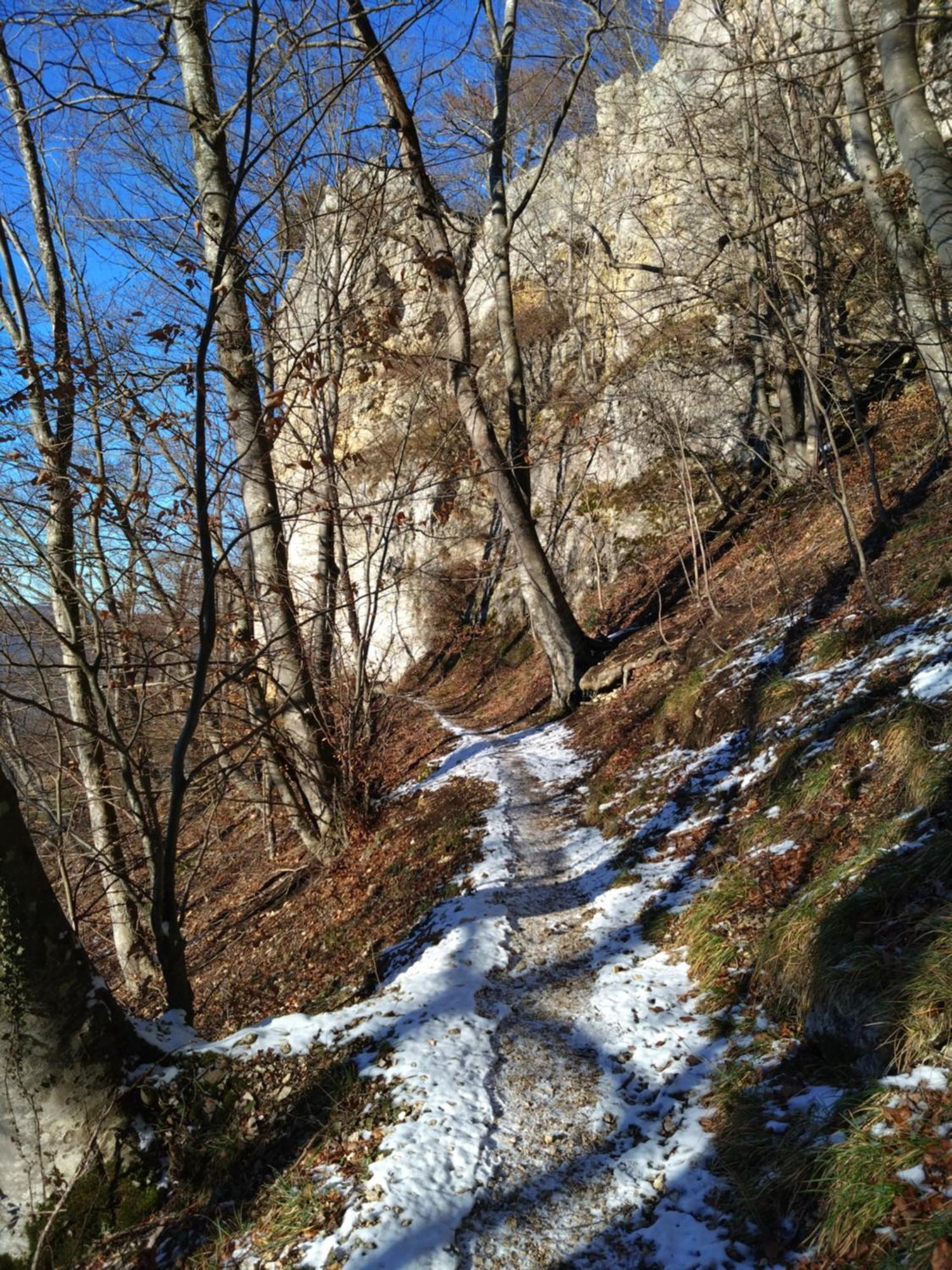 Ferienwohnung An Der Loipe Lichtenstein  Exteriér fotografie